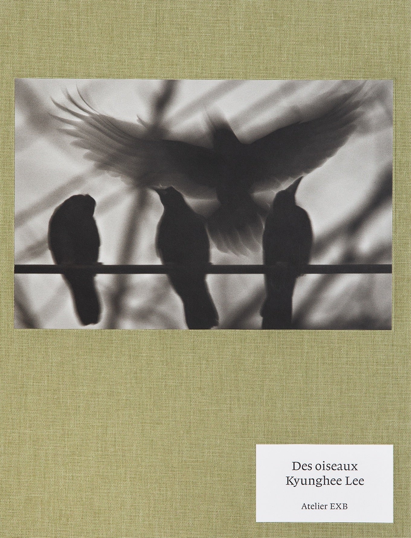 Kyunghee-Lee: On Birds (Des oiseaux) cover
