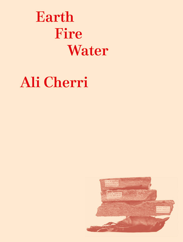 Ali Cherri: Earth, Fire, Water cover