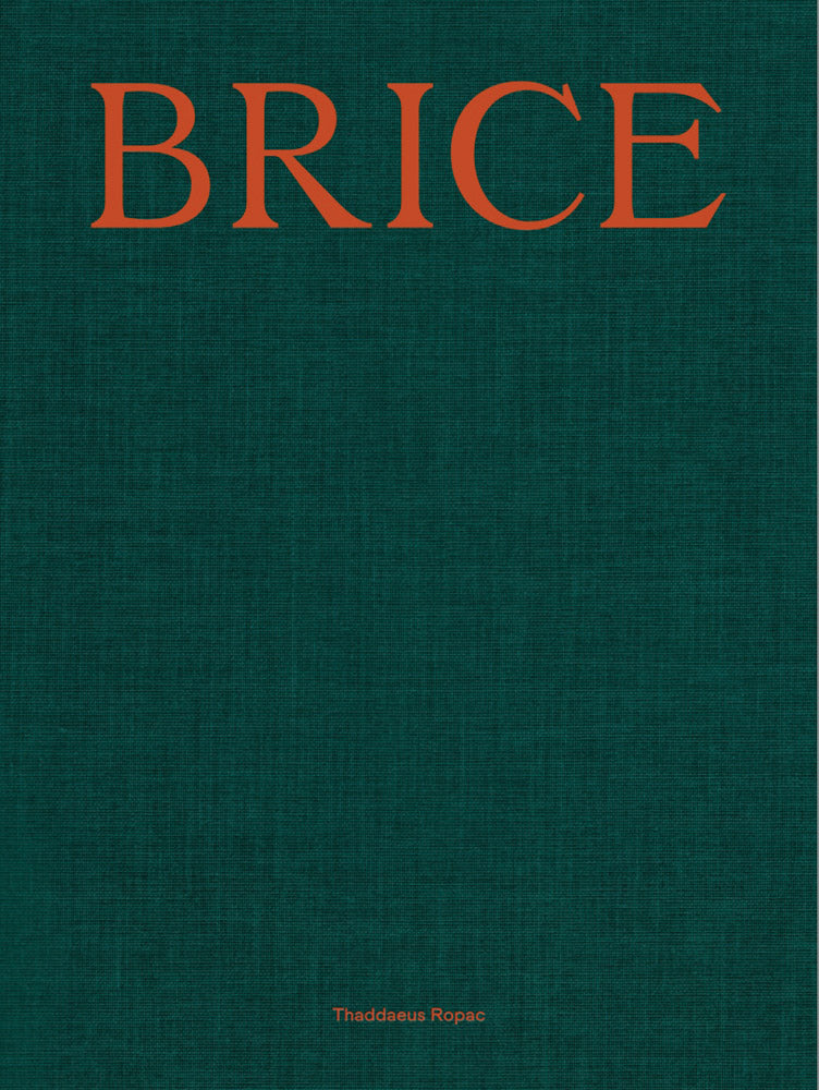 Lisa Brice: Lives and Works cover