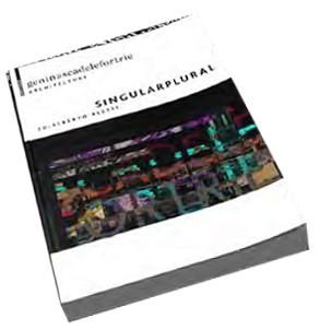 singular & plural: Geninasca Delefortrie Archictecture cover