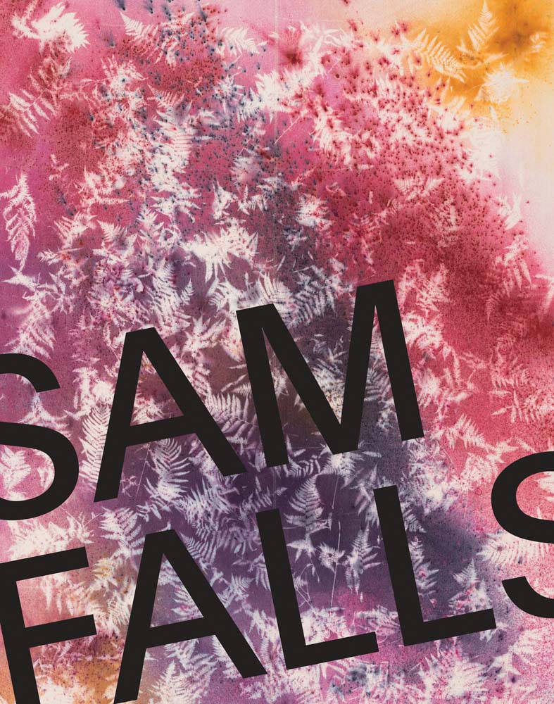 Sam Falls cover