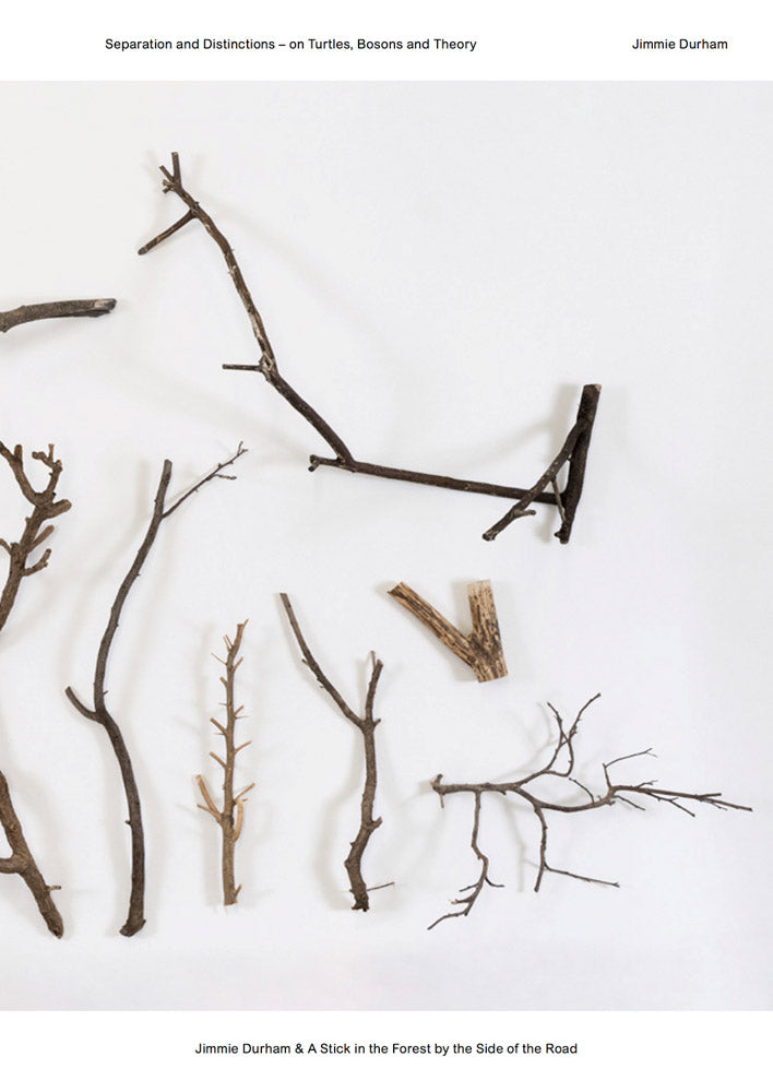 Jimmie Durham & A Stick in the Forest by the Side of the Road cover