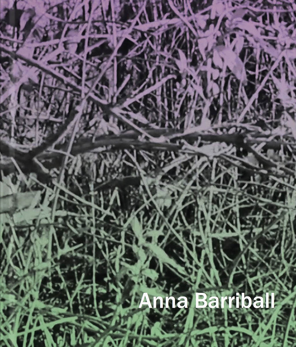 Anna Barriball cover