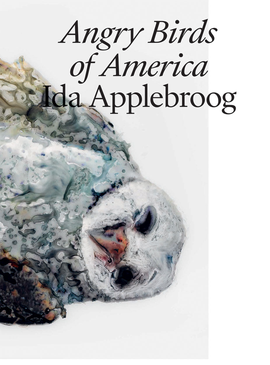 Ida Applebroog: Angry Birds of America cover