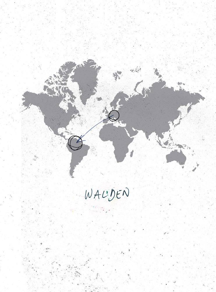 Daniel Zimmermann: Walden cover