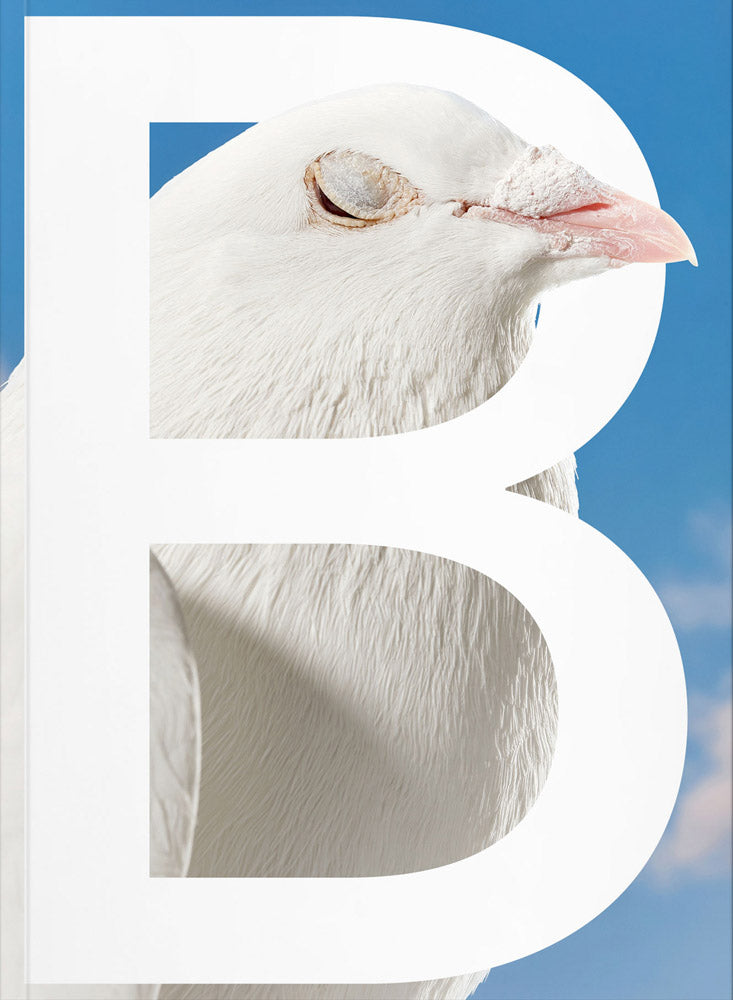 Philotheus Nisch: B-Sides cover