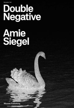 Amie Siegel: Double Negative cover
