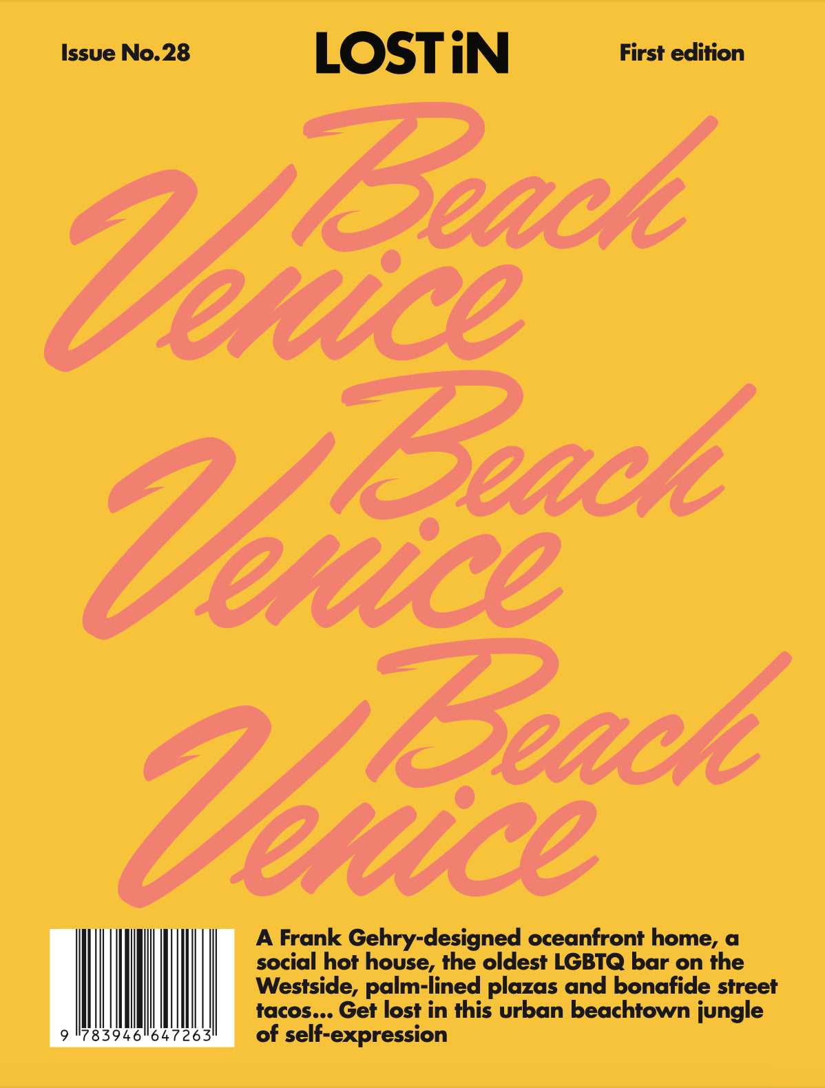 Lost in Venice Beach cover