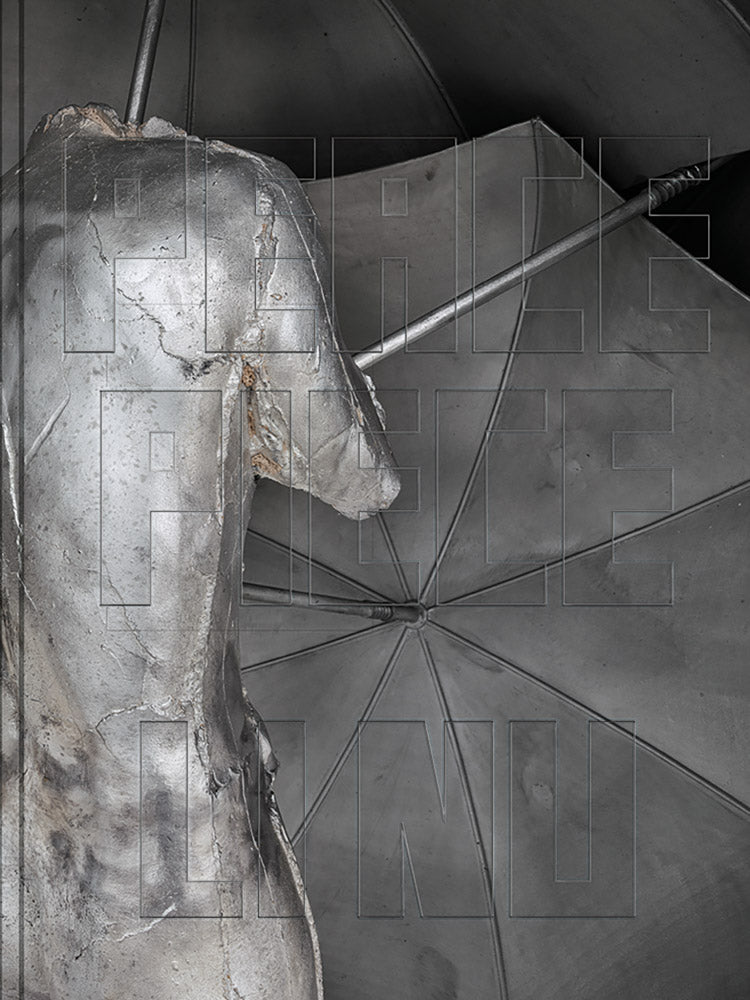 Li Nu: Peace Piece cover