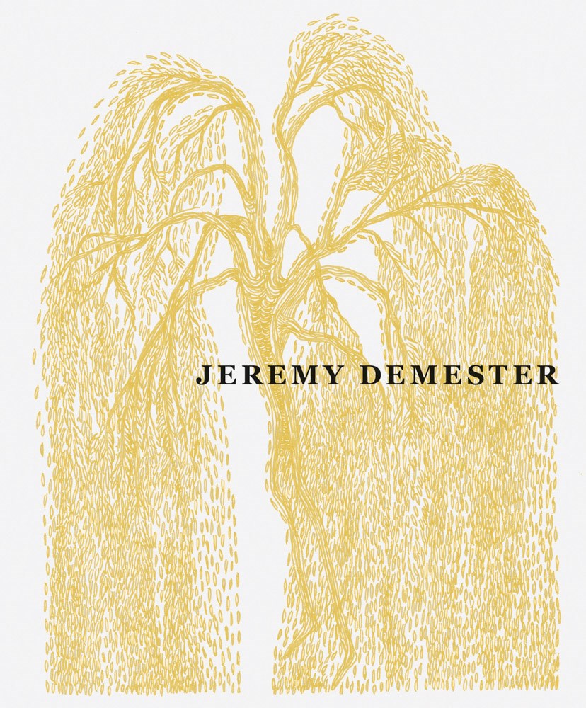 Jeremy Demester cover