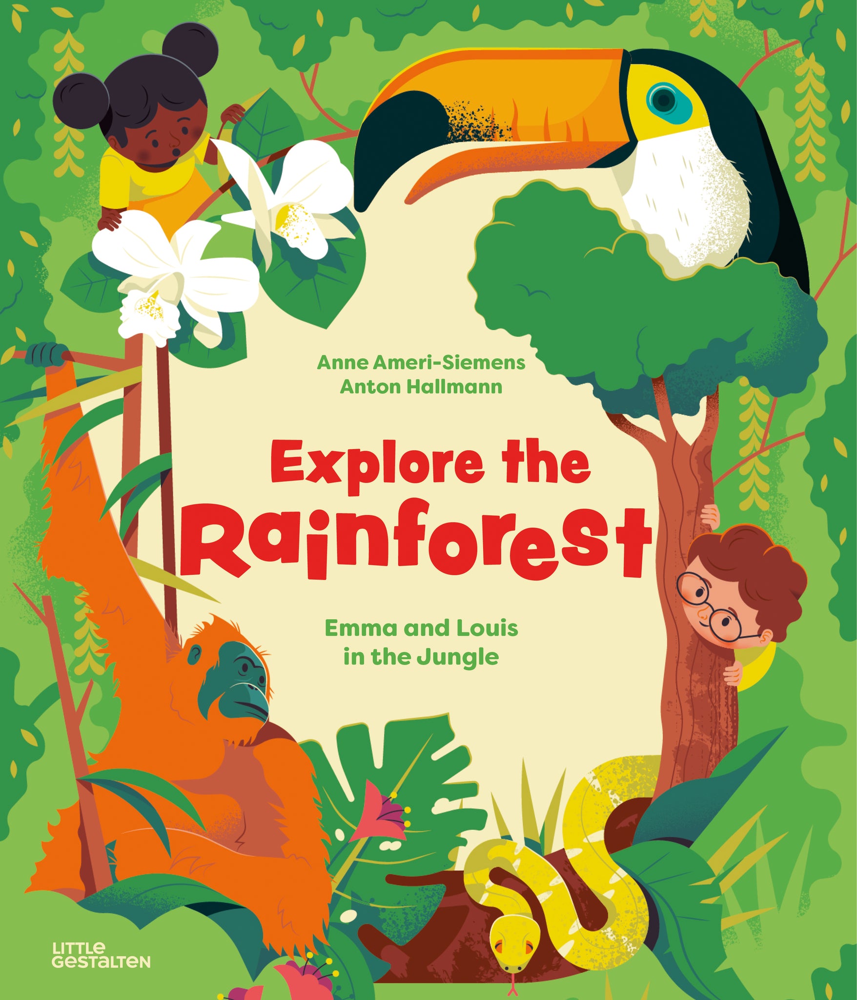 Explore the Rainforest  cover