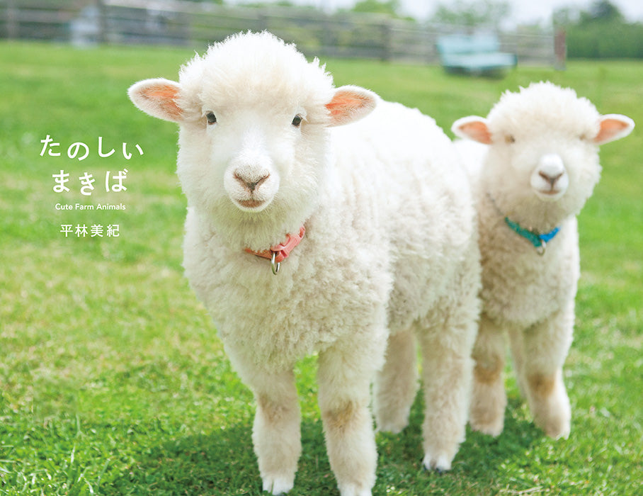 Makiba: Cute Farm Animals cover