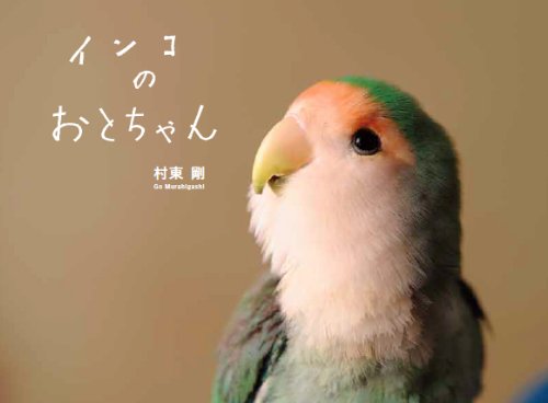 Oto-chan: A Rosy-faced Lovebird cover
