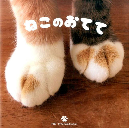 Cat's Hands (Japanese only, mostly visual) cover