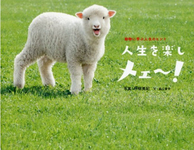 Cute Farm Animals 2 (Japanese only, mostly visual) cover