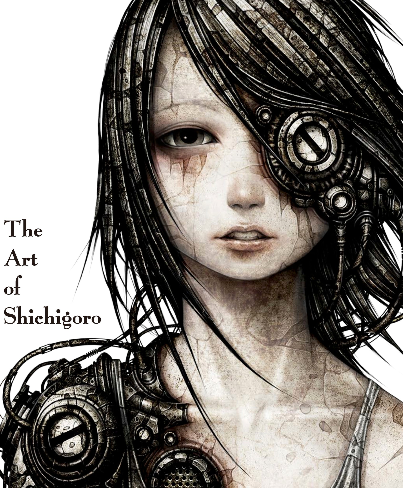 Art of Shichigoro, The cover