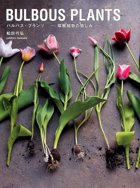 Bulbous Plants (Japanese only, mostly visual) cover