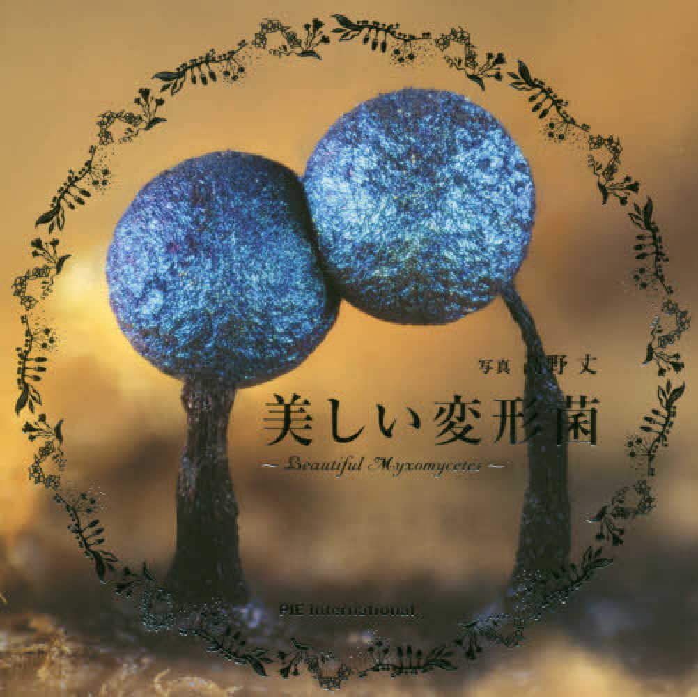 Beautiful Myxomycetes (Japanese only mostly visual) cover