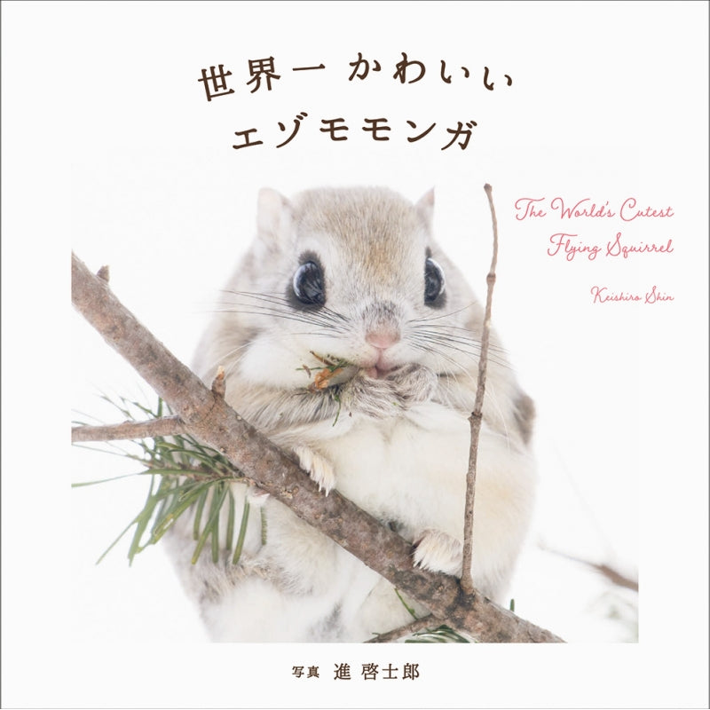 World's Cutest Flying Squirrel, the  cover