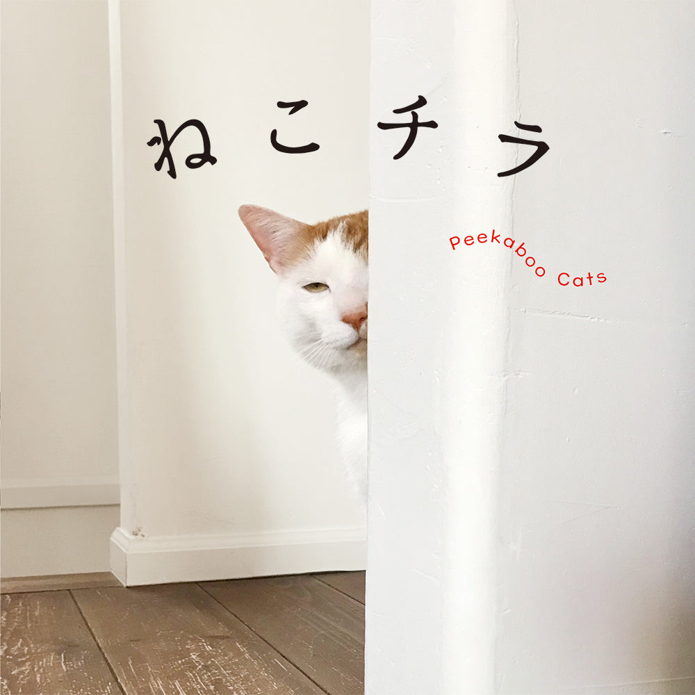 Peekaboo Cats cover