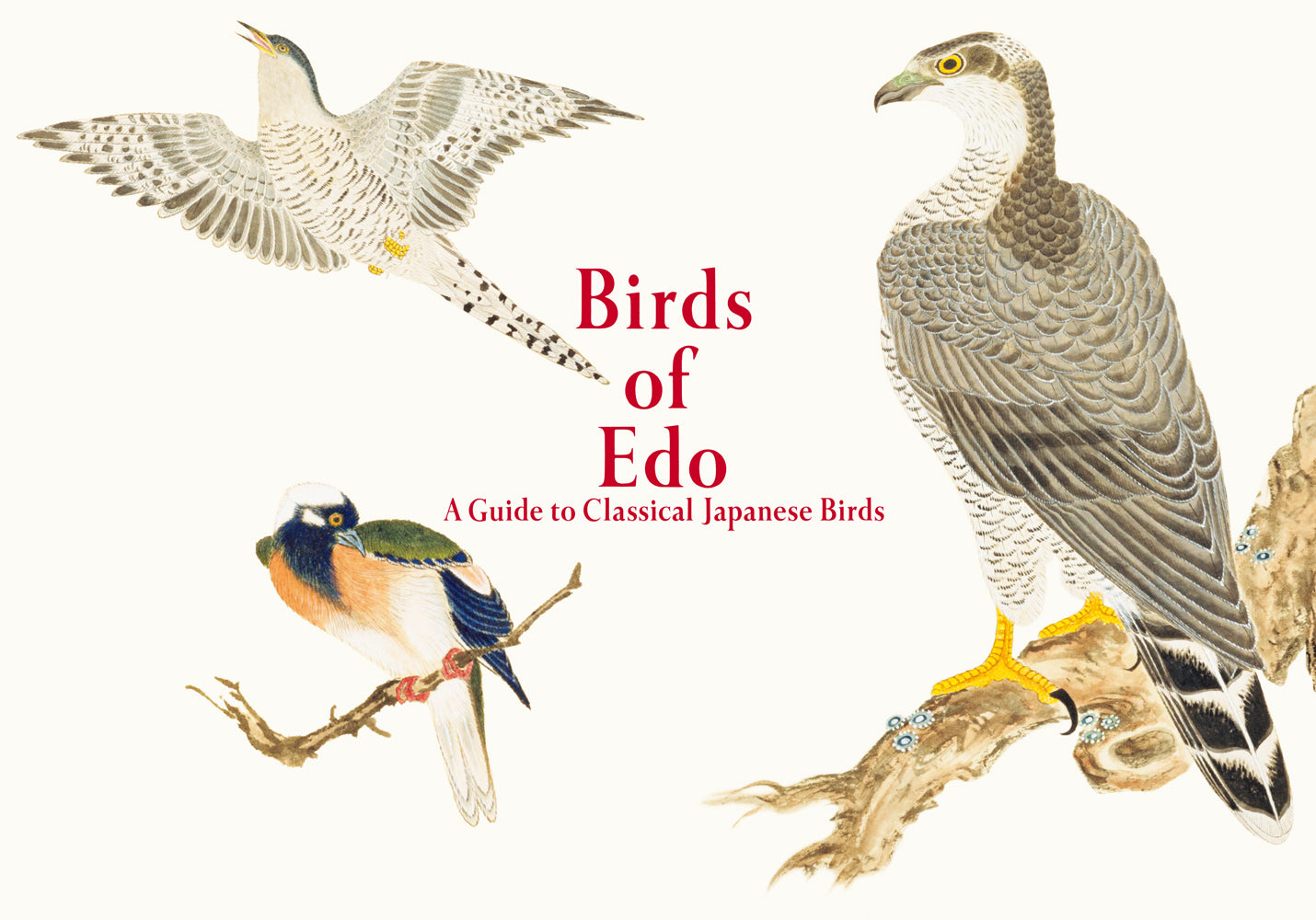 Birds of Edo: A Guide to Classical Japanese Birds (English-Japanese bilingual) cover