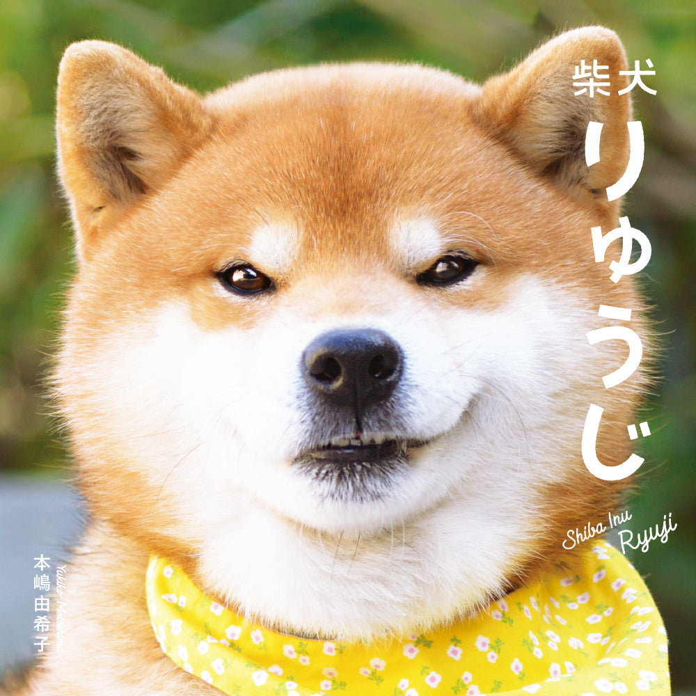 Shiba Inu Ryuji  (English Edition) cover