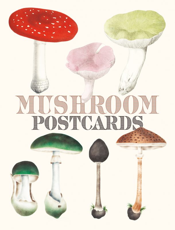 Mushroom Postcards cover