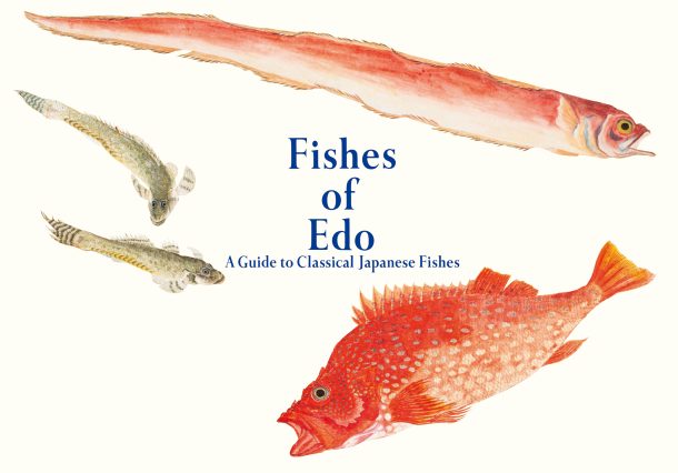 Fishes of Edo: A Guide to Classical Japanese Fishes (Japanese-English bilingual) cover