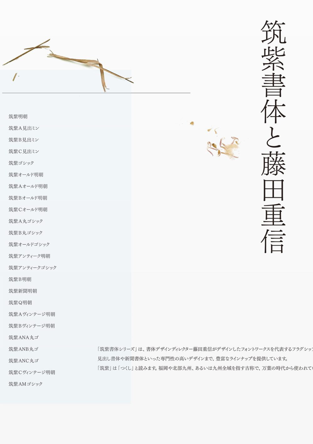 Tsukushi Typeface and Shigenobu Fujita (Japanese only) cover