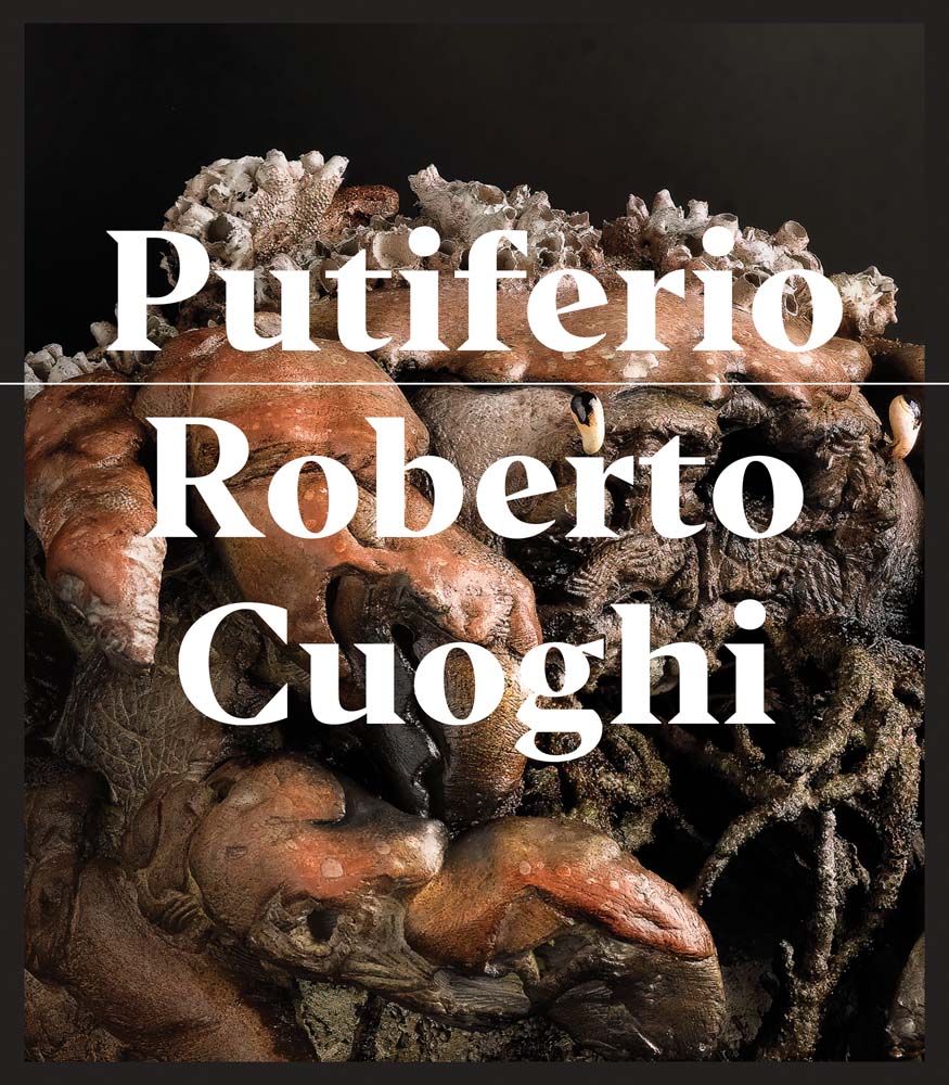 Roberto Cuoghi: Putiferio cover