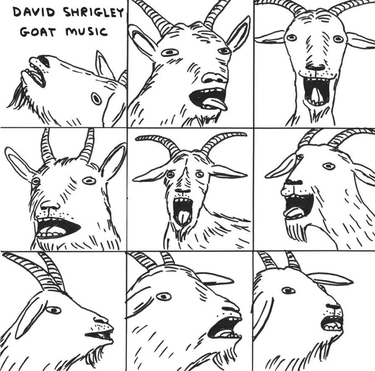 David Shrigley: Goat Music cover