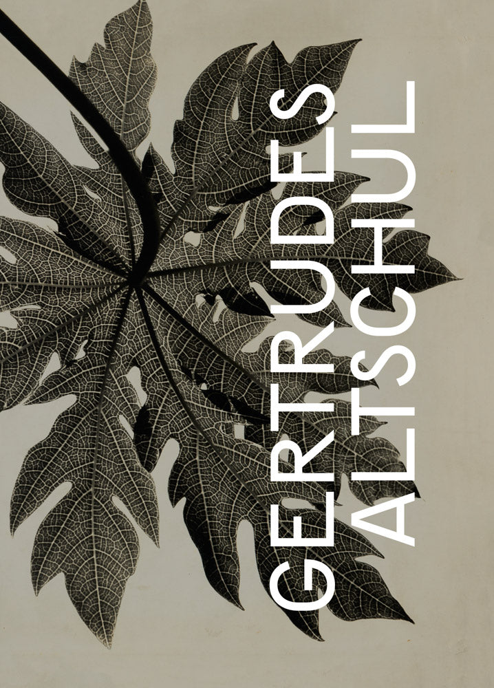 Gertrudes Altschul: Filigree cover