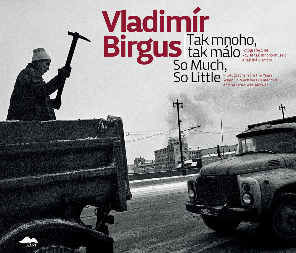 Vladimír Birgus: So Much, So Little cover