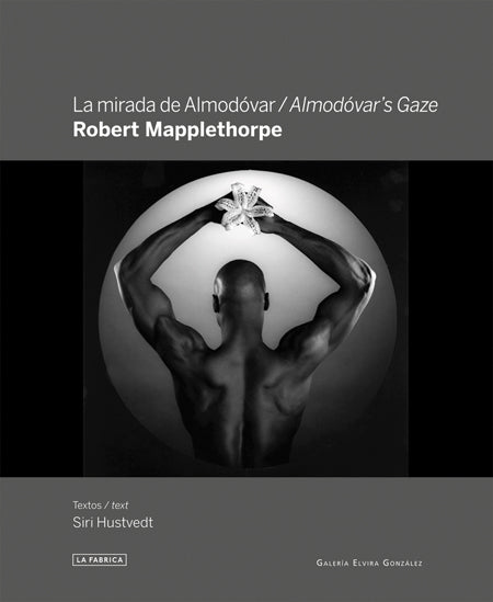 Robert Mapplethorpe: Almodóvar's Gaze cover
