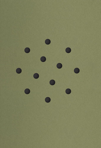 Cemre Yesil and Maria Sturm: For Birds' Sake cover