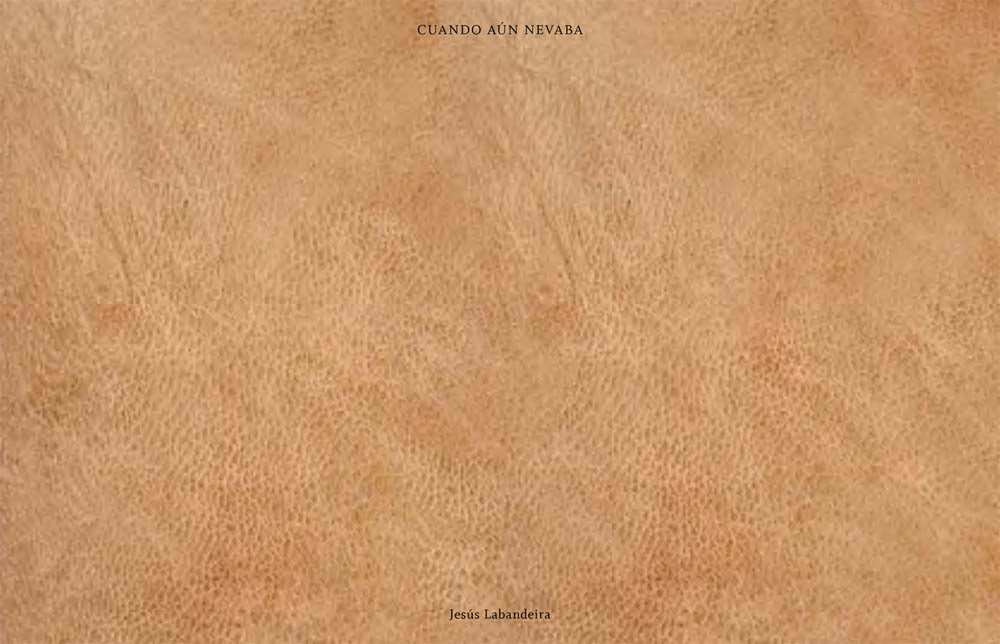 Jesús Labandeira: Cuando aún nevaba cover