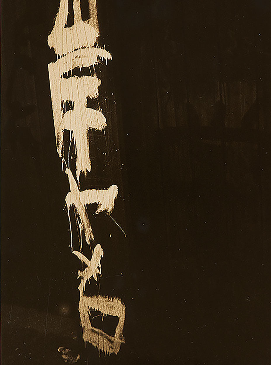 Gaze of Things, the: Japanese Photography in the Context of Provoke cover