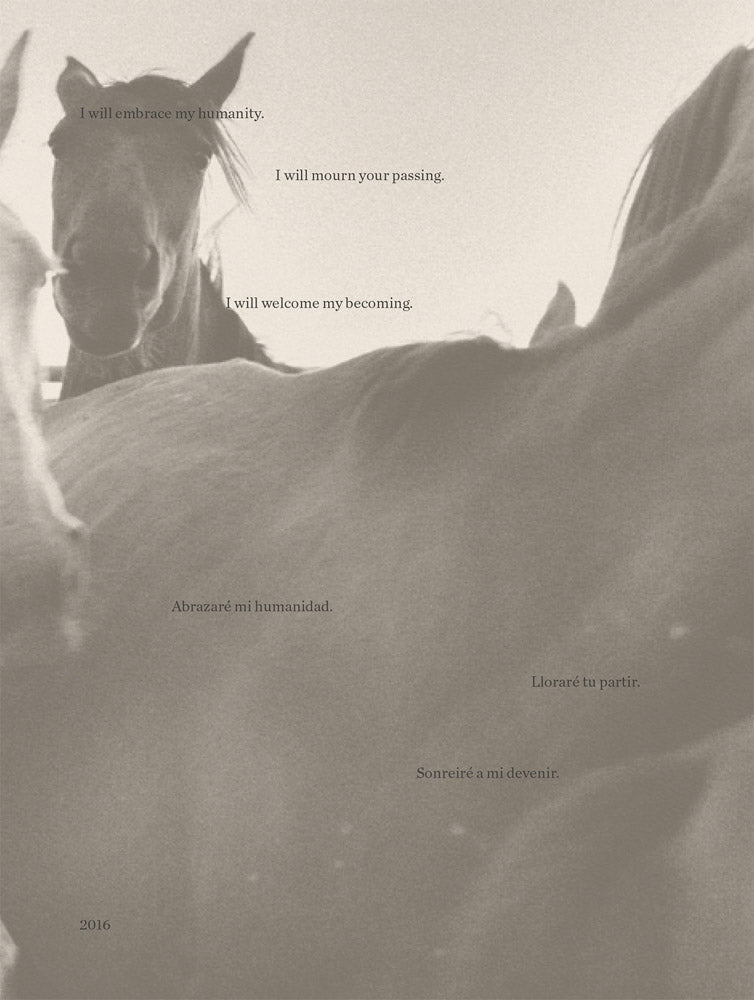 Manuel Naranjo Martell: 2016 cover