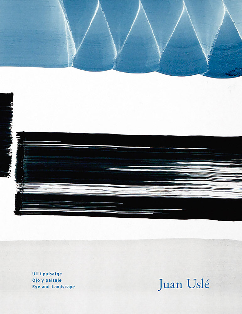 Juan Uslé: Eye and Landscape cover