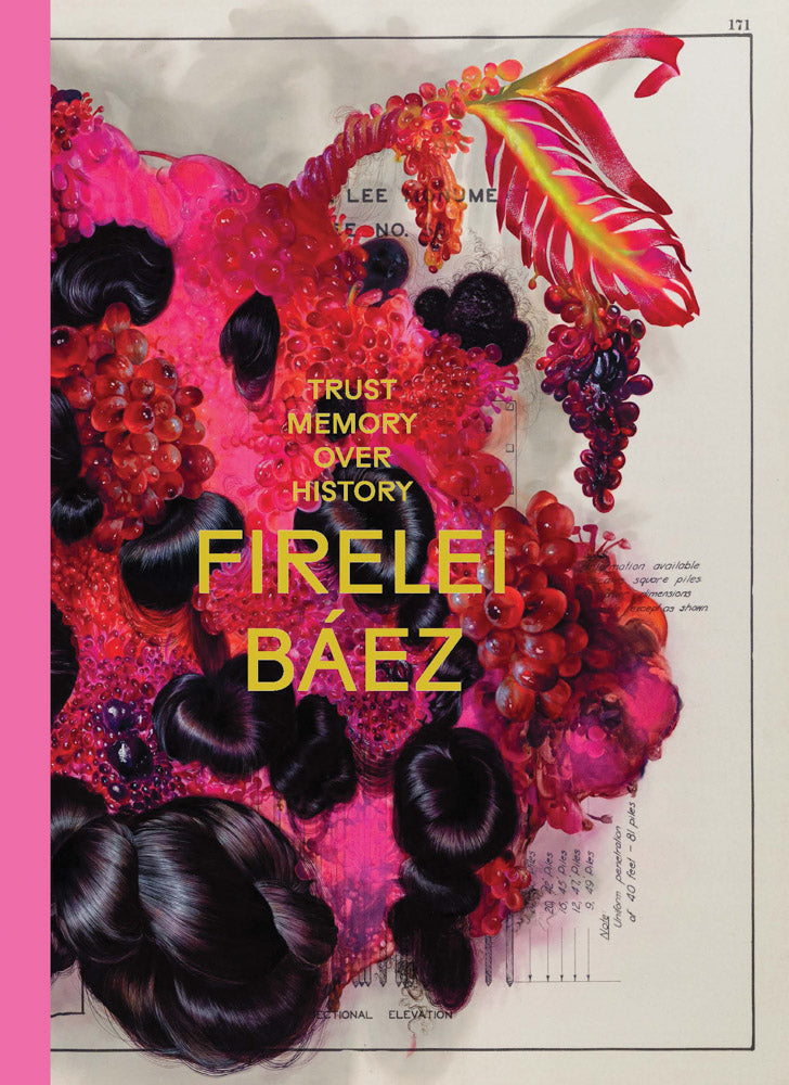 Firelei Báez: Trust Memory over History cover