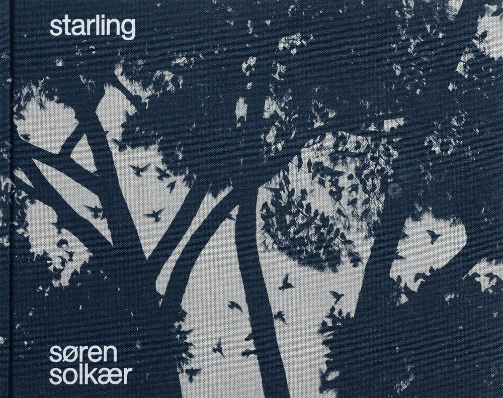 Søren Solkær: Starling cover