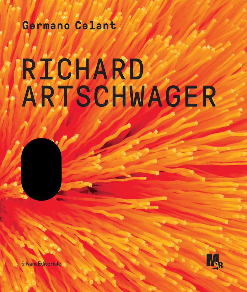 Richard Artschwager  cover