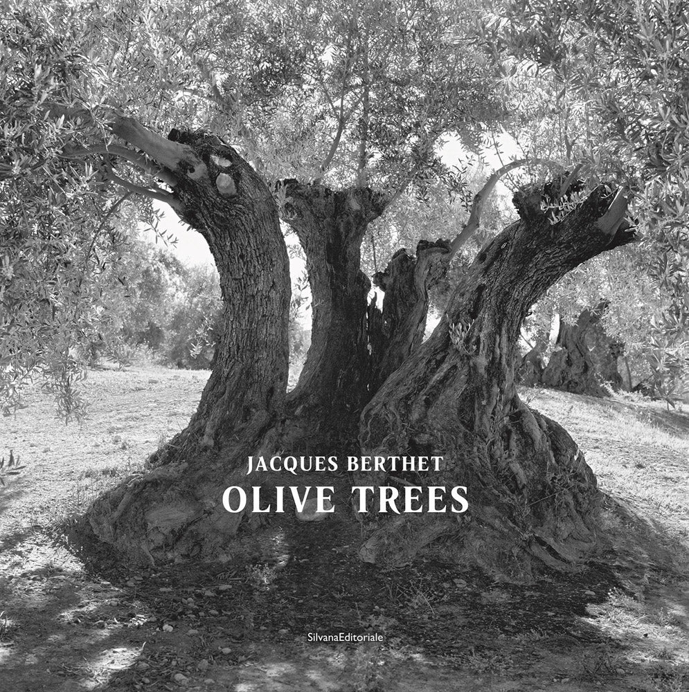 Jacques Berthet: Olive Trees cover