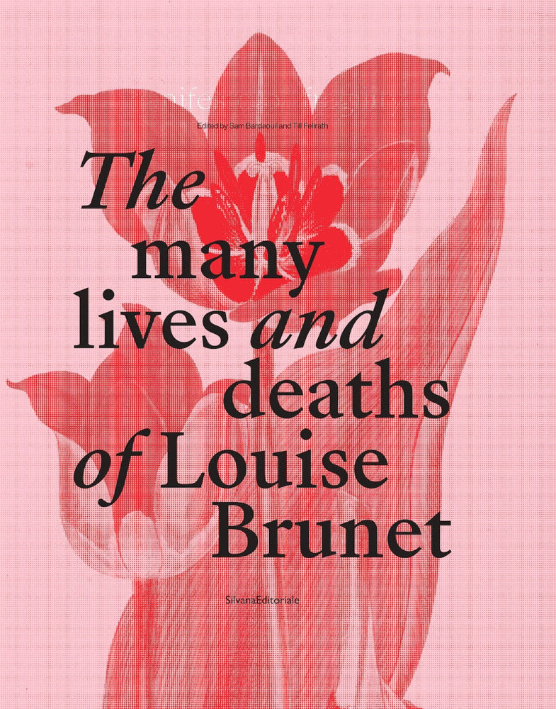 Many Lives and Deaths of Louise Brunet, the cover
