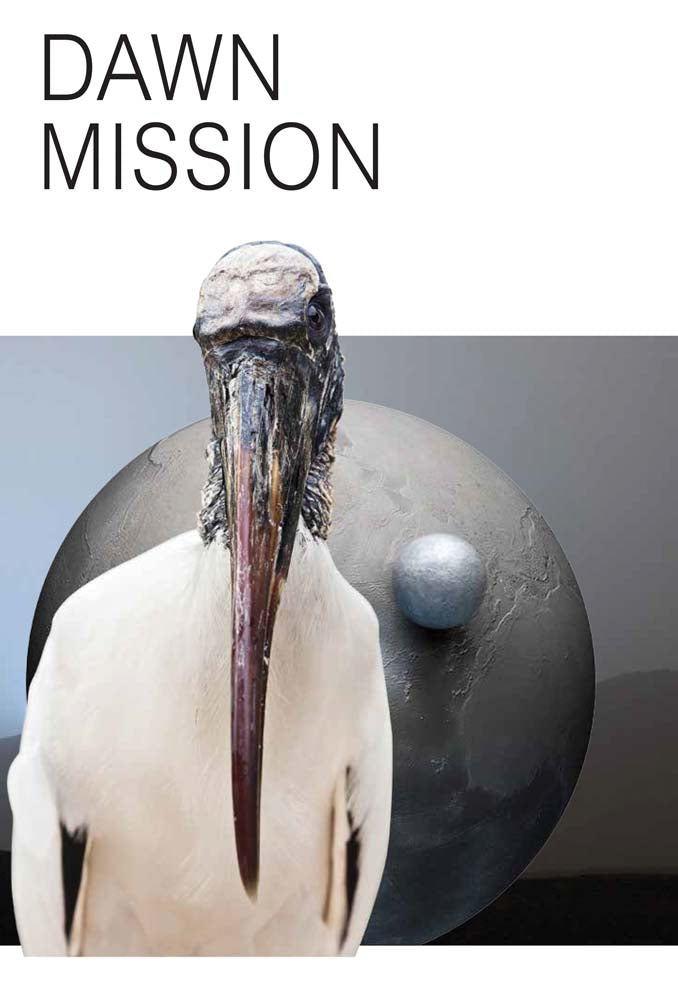 Katja Novitskova: Dawn Mission cover