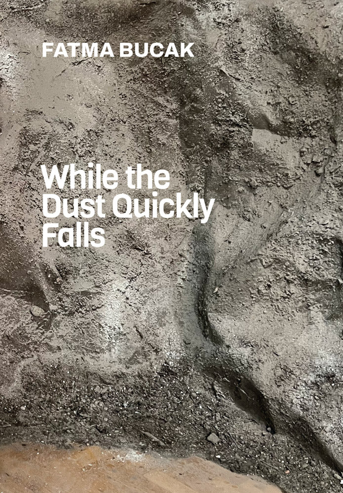 Fatma Bucak: While the Dust Quickly Falls cover