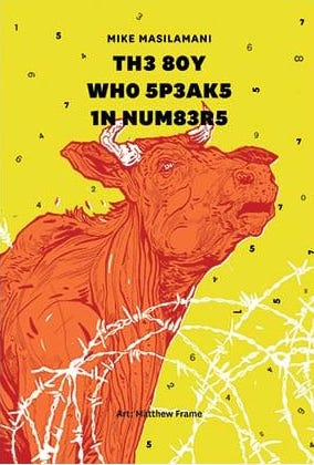Boy Who Speaks in Numbers, the cover