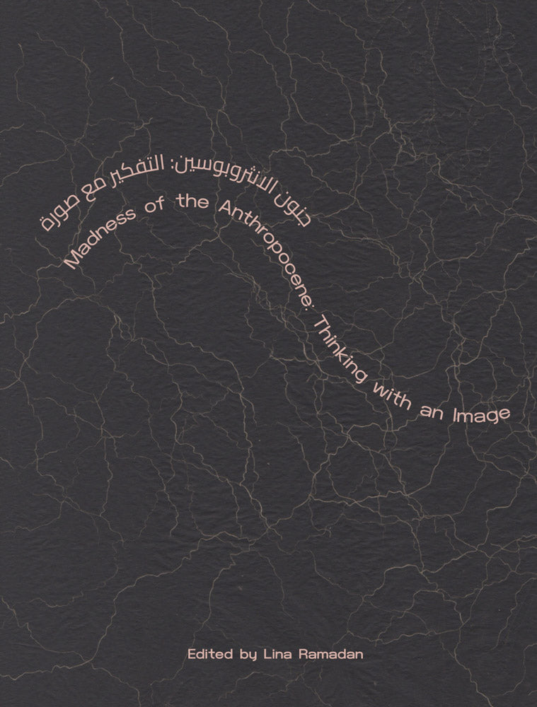 Madness of the Anthropocene cover