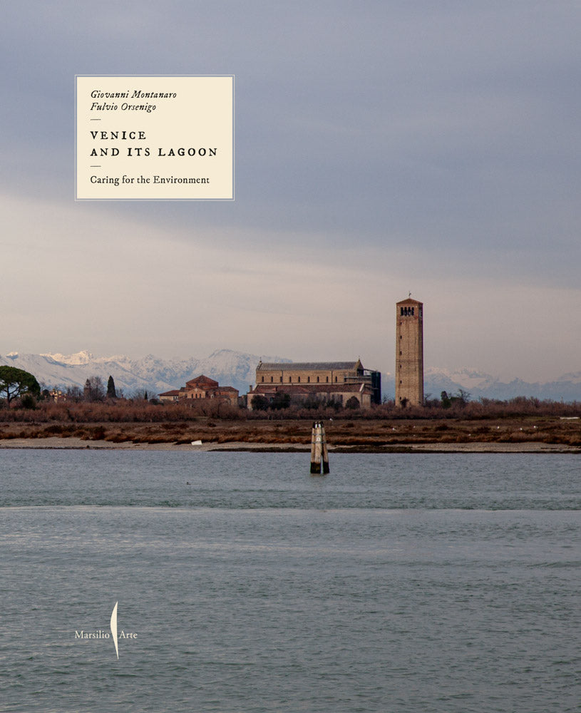 Venice and Its Lagoon: Caring for the Environment cover