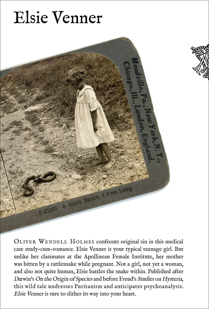 Elsie Venner  cover